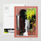 Barefoot Kate Postkarte (Vorne/Hinten)