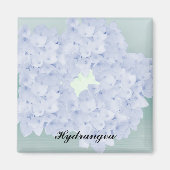Barely Blue Hydrangea Magnet (Vorne)