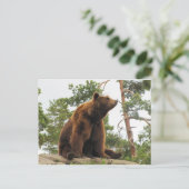 BÄREN AUF EINEM FELS POSTKARTE (Stehend Vorderseite)