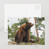 BÄREN AUF EINEM FELS POSTKARTE (Vorne/Hinten)