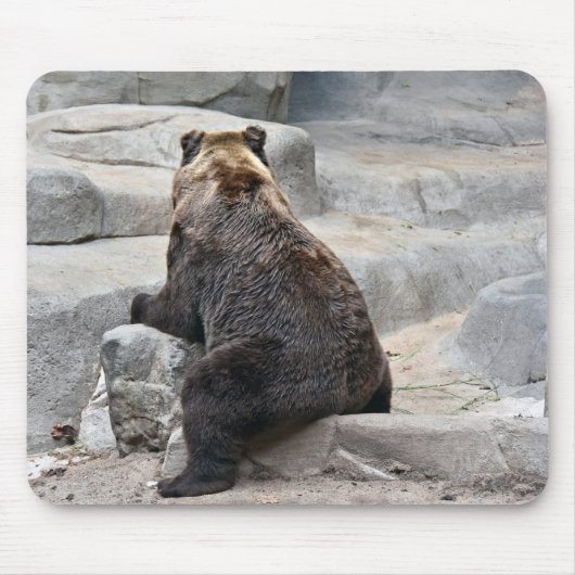 Bären auf einem Felsen Mousepad (Vorne)