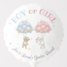 Bären & Bunny Gender Reveal Party