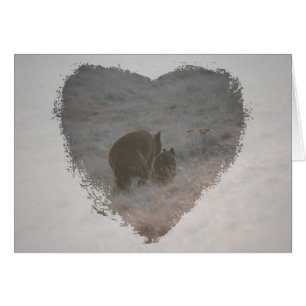 Bären, die am Sonnenuntergang gehen