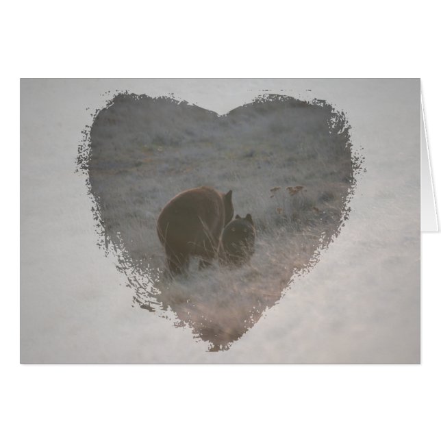 Bären, die am Sonnenuntergang gehen (Vorderseite (Horizontal))