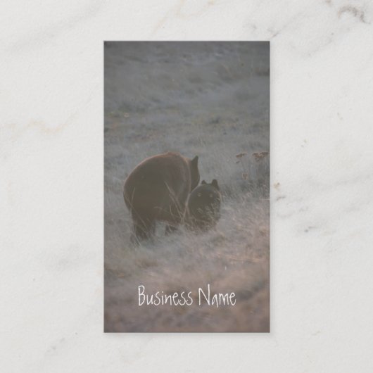 Bären, die am Sonnenuntergang gehen; Fördernd Visitenkarte (Vorderseite)