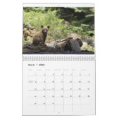 Bären durch Edward Hughes Kalender (Mär 2026)