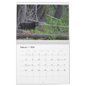 Bären durch Edward Hughes Kalender (Feb 2026)