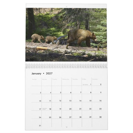 Bären durch Edward Hughes Kalender (Jan 2027)