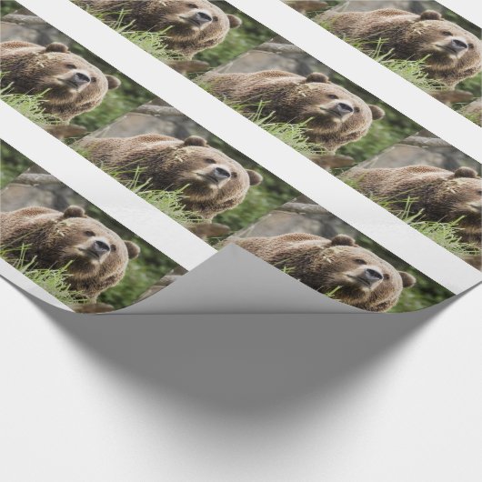 BÄREN GESCHENKPAPIER (Ecke)