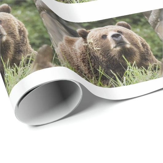 BÄREN GESCHENKPAPIER (Rolleneckpunkt)