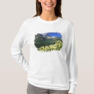Bären Gras am Logan Pass im Glacier National Park T-Shirt