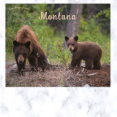 Bären im Boulder Valley Montana USA Postkarte