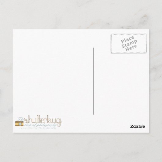 Bären im Wald Postkarte (Rückseite)