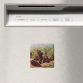 Bären im Watermelon Patch (von W.H. Beard) Magnet (In Situ (Geschirrspüler))