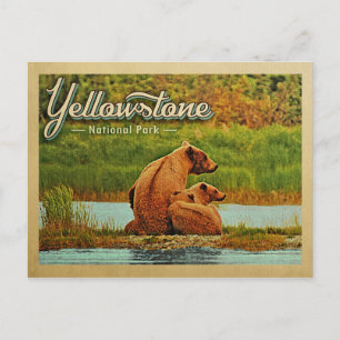 Bären im Yellowstone-Nationalpark Vintage Postkarte