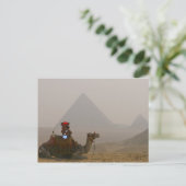 "Bären in Ägypten" Postkarte (Stehend Vorderseite)