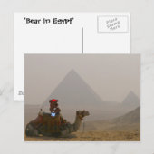 "Bären in Ägypten" Postkarte (Vorne/Hinten)