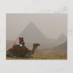 "Bären in Ägypten" Postkarte
