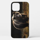 Bären iPhone 12 Hülle (Rückseite)