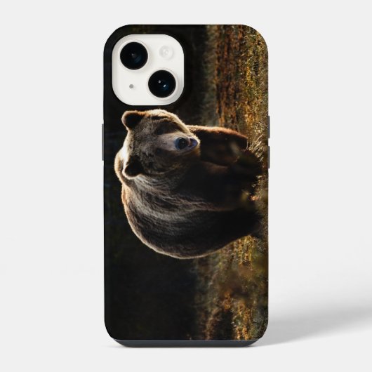 Bären iPhone 14 Hülle (Rückseite)