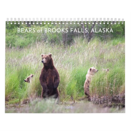 Bären of Brooks Falls - Kalender 2021 (Titelbild)