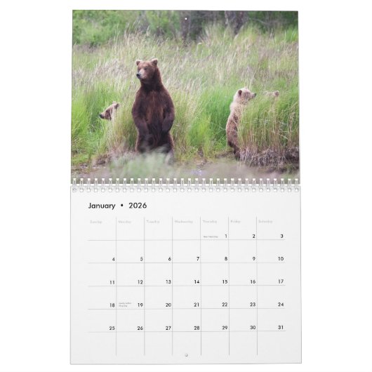 Bären of Brooks Falls - Kalender 2021 (Jan 2026)