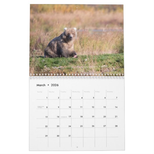 Bären of Brooks Falls - Kalender 2021 (Mär 2026)