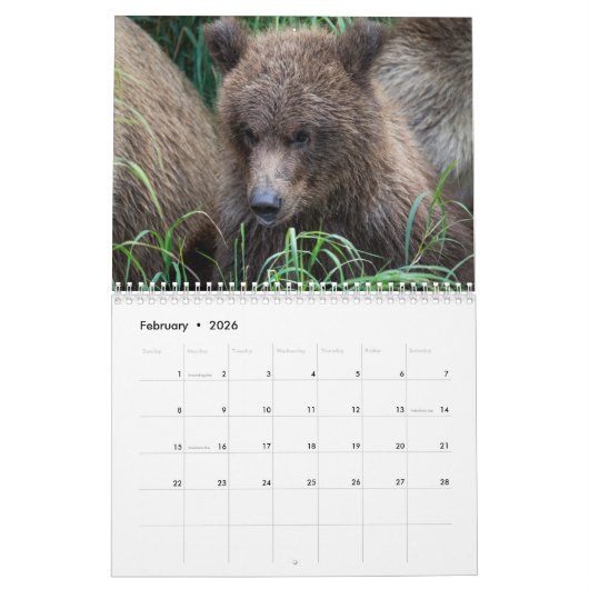 Bären of Brooks Falls - Kalender 2021 (Feb 2026)