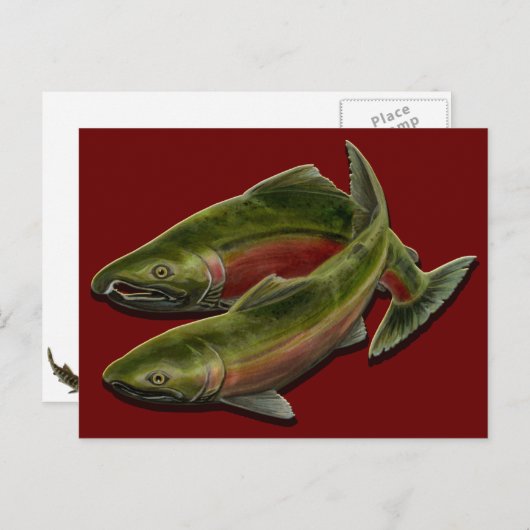 Bären Postcard Custom Lmon Fisch Postkarten (Vorne/Hinten)