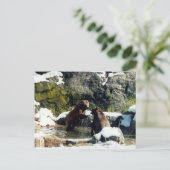 Bären Postkarte (Stehend Vorderseite)