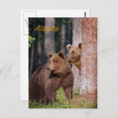 Bären Postkarte (Vorne/Hinten)