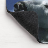 Bären und Aurora der Arktis Mousepad (Ecke)