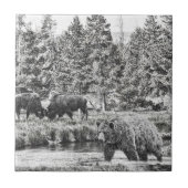 Bären und Baffalo Art Tile Fliese (Vorderseite)