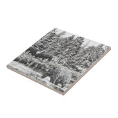 Bären und Baffalo Art Tile Fliese (Seite)