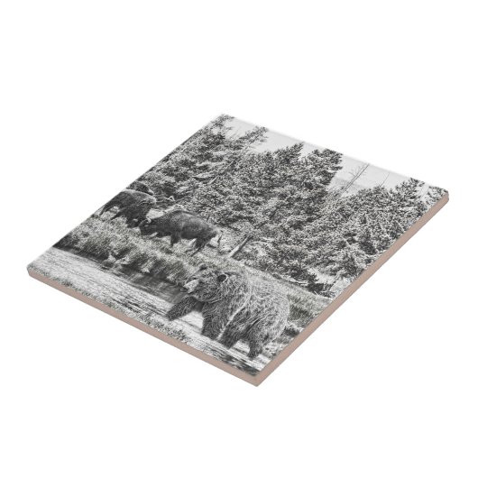 Bären und Baffalo Art Tile Fliese (Seite)