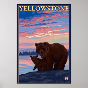 Bären und Cub - Yellowstone Nationalpark Poster