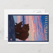 Bären und Cub - Yellowstone Nationalpark Postkarte (Vorne/Hinten)