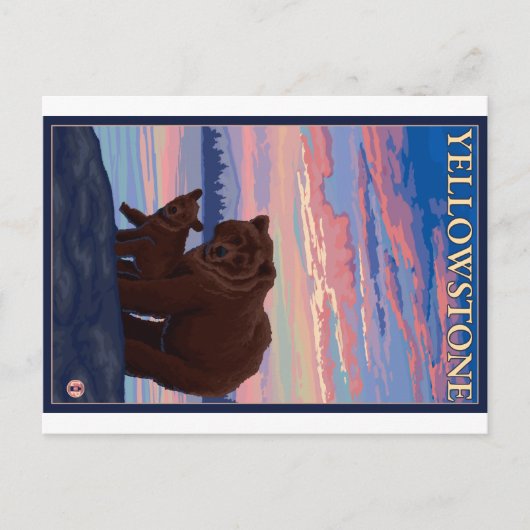 Bären und Cub - Yellowstone Nationalpark Postkarte (Vorderseite)