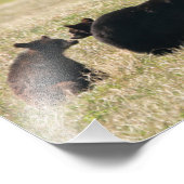 Bären und Knochen Fotodruck (Ecke)