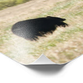 Bären und Knochen Fotodruck (Ecke)