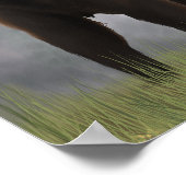 Bären und Knochen Poster (Ecke)