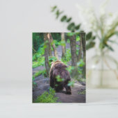 Bären wandern im Wald weg Postkarte (Stehend Vorderseite)