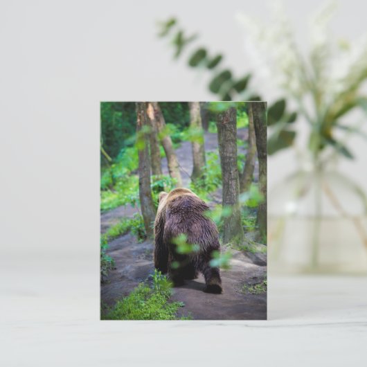 Bären wandern im Wald weg Postkarte (Stehend Vorderseite)