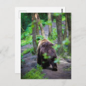 Bären wandern im Wald weg Postkarte (Vorne/Hinten)