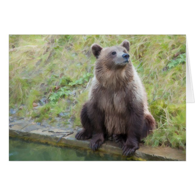 Bären: "Was ist das für ein Owling?" (Vorderseite (Horizontal))