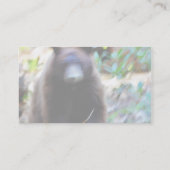 Bärenangriff Visitenkarte (Rückseite)