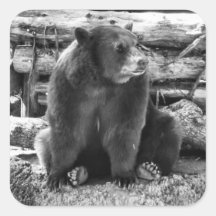 Bärenaufkleber