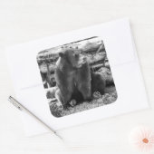 Bärenaufkleber Quadratischer Aufkleber (Umschlag)