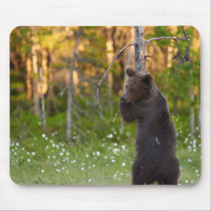Bärenbär (Ursus arctos) Mousepad