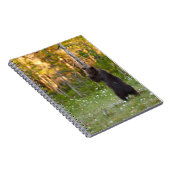 Bärenbär (Ursus arctos) Notizblock (Rechte Seite)